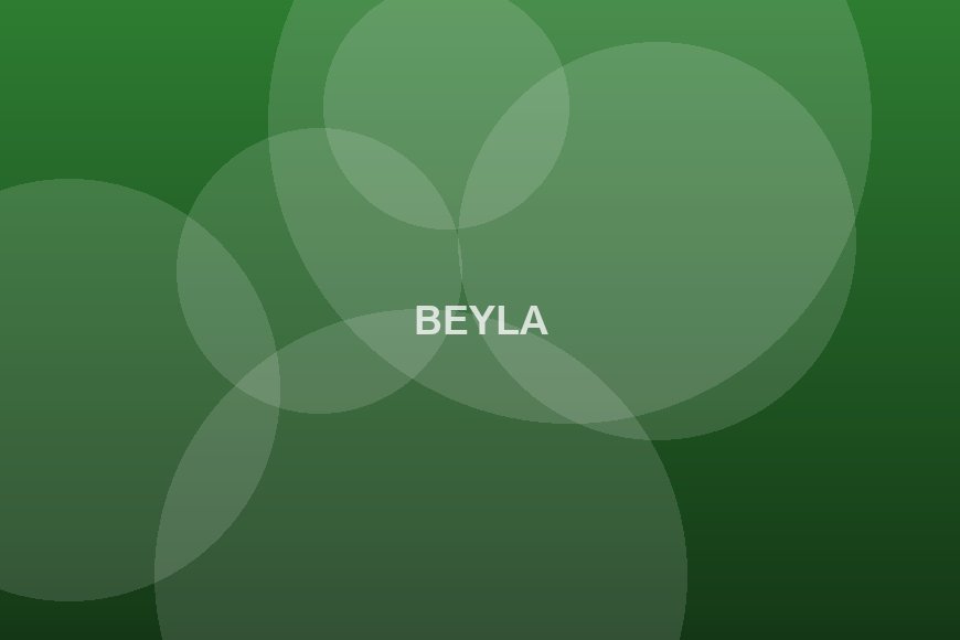 Beyla : la route nationale en cours de réhabilitation