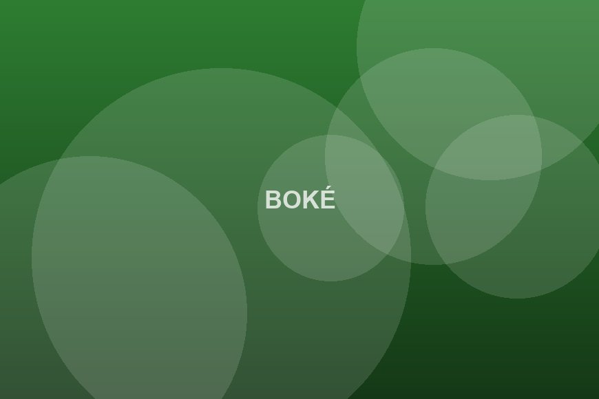 Boké : un centre de formation aux métiers des mines ouvre ses portes