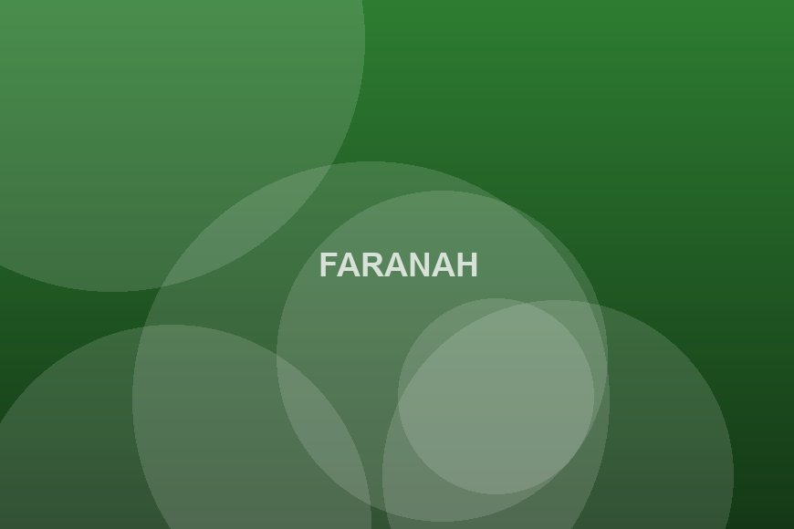 Faranah : les producteurs de riz attendent une bonne récolte