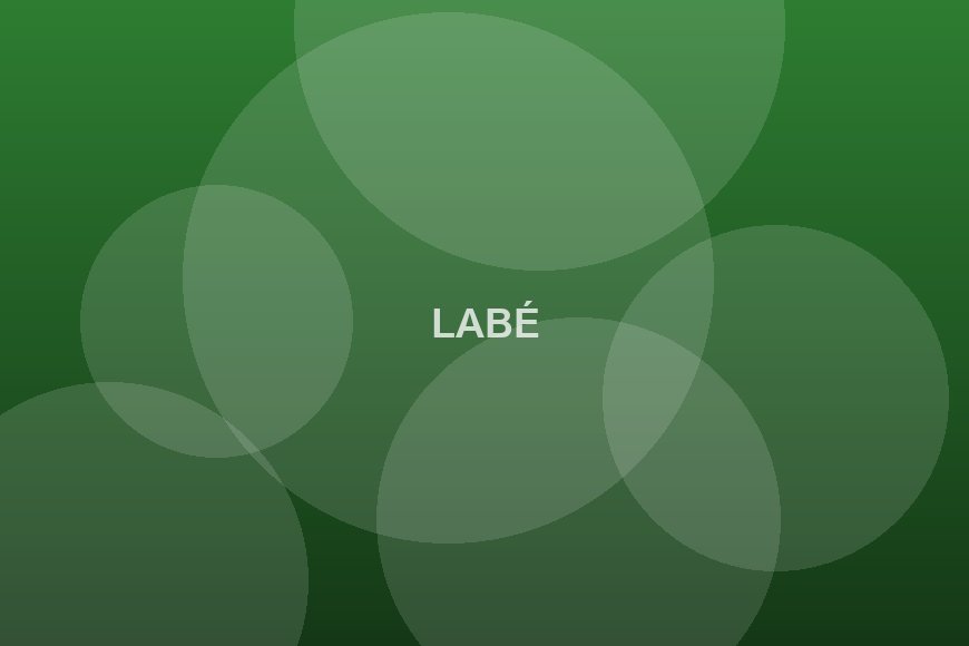 Labé accueille un forum régional de la jeunesse