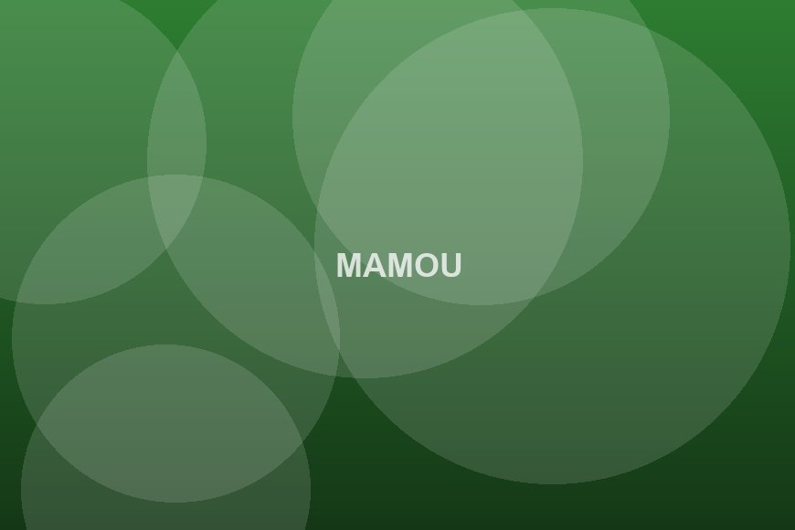 Mamou : la gare routière fait peau neuve