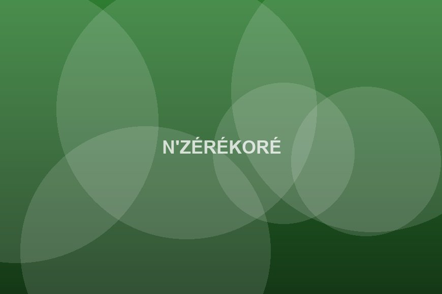 N'Zérékoré : campagne de reboisement en Guinée forestière