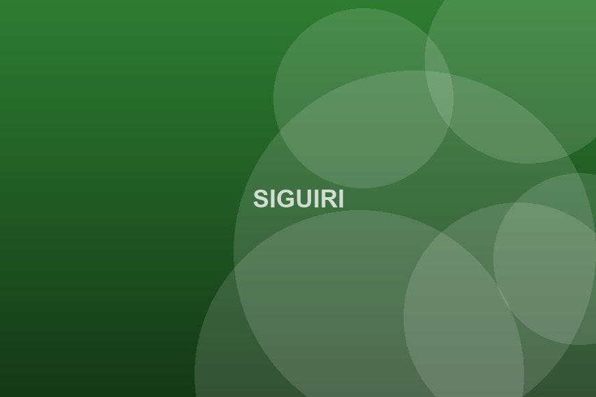 Siguiri : l'orpaillage artisanal mieux encadré